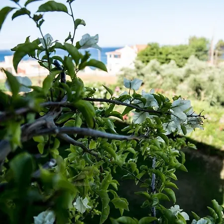 Petra Apart-hotel Kypseli